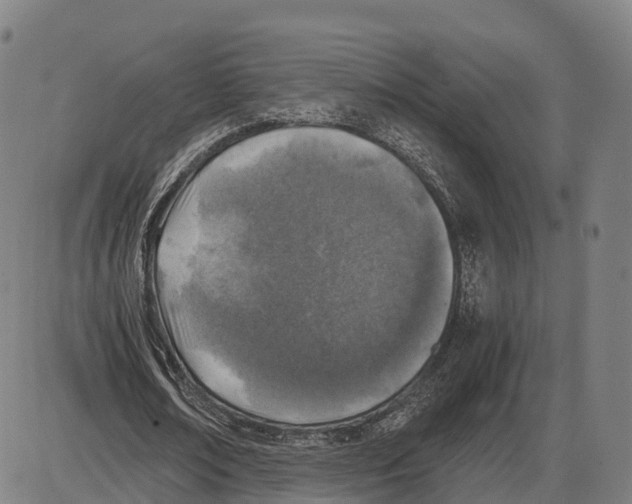 X0000083980674200703161557