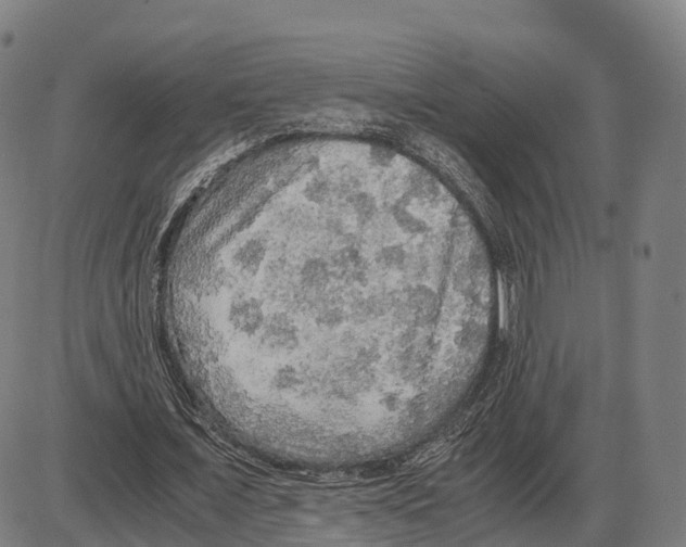 X0000083980675200703161557