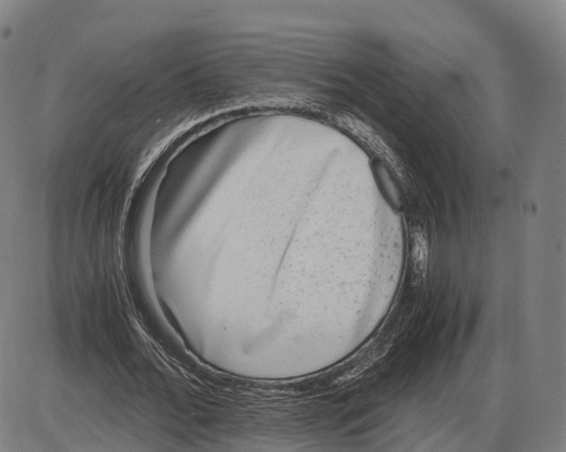 X0000083980676200703161557