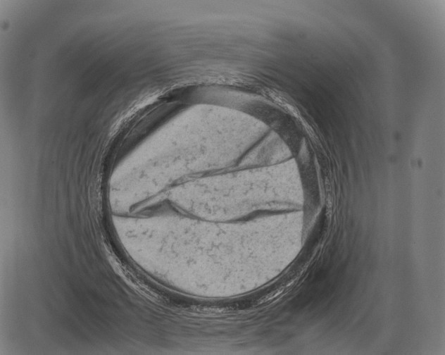 X0000083980677200703161557