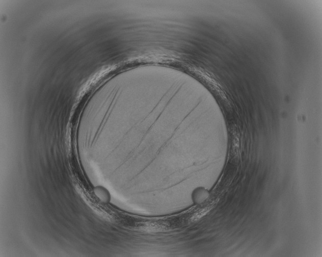 X0000083980678200703161557