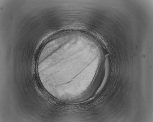 X0000083980680200703161557