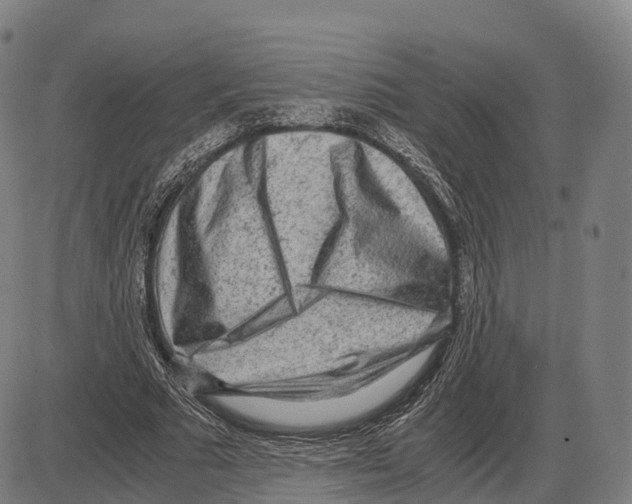 X0000083980681200703161557