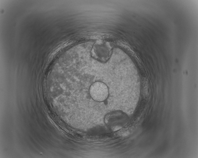 X0000083980683200703161557