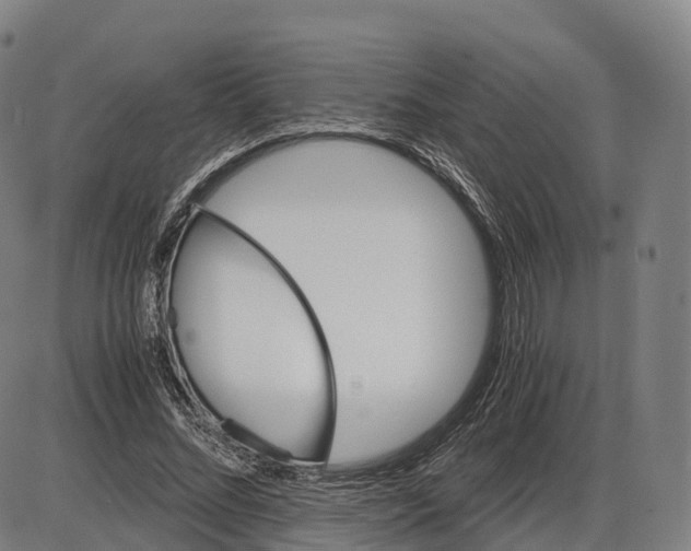 X0000083980684200703161557