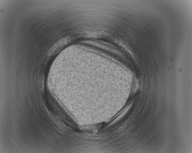 X0000083980685200703161557