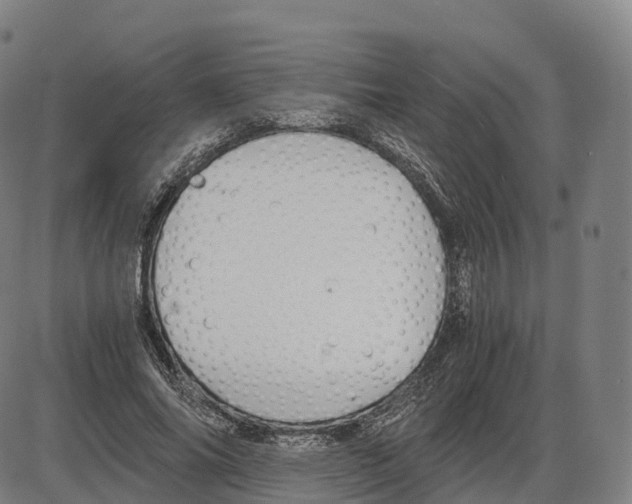 X0000083980686200703161557