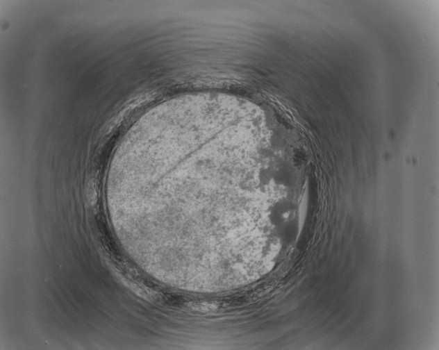 X0000083980687200703161557