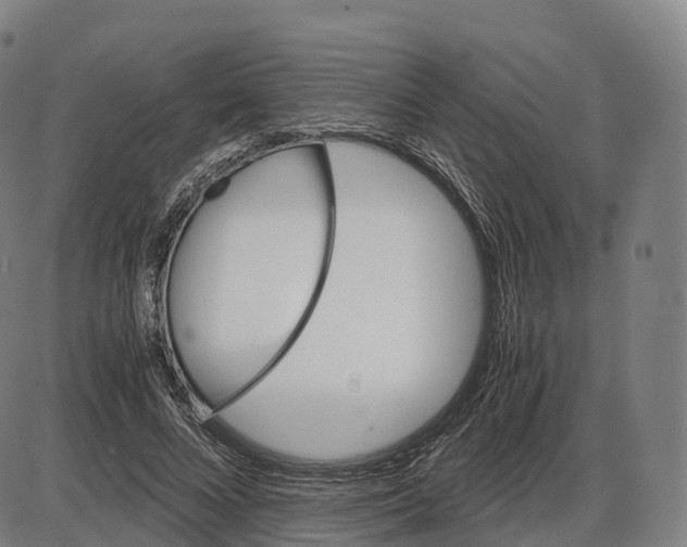 X0000083980688200703161557