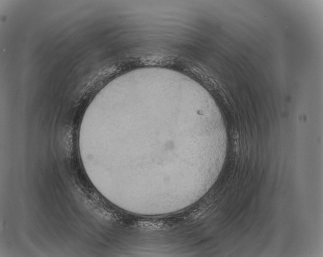 X0000083980690200703161557