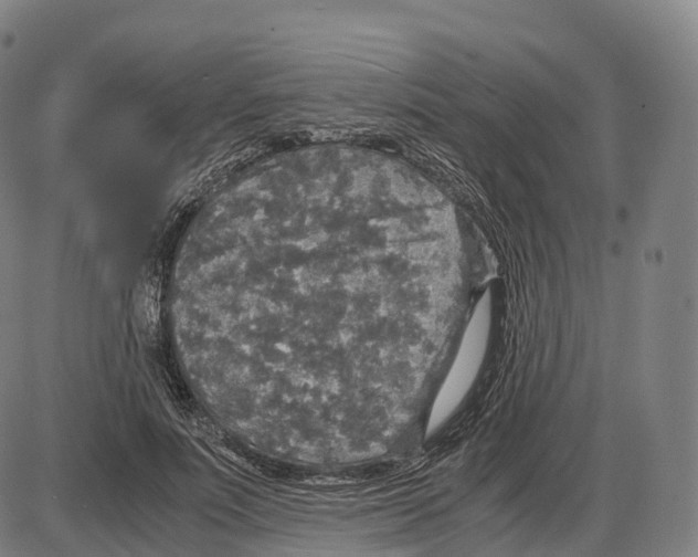 X0000083980691200703161557