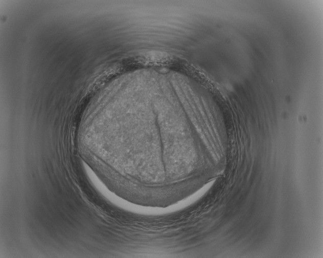 X0000083980695200703161557