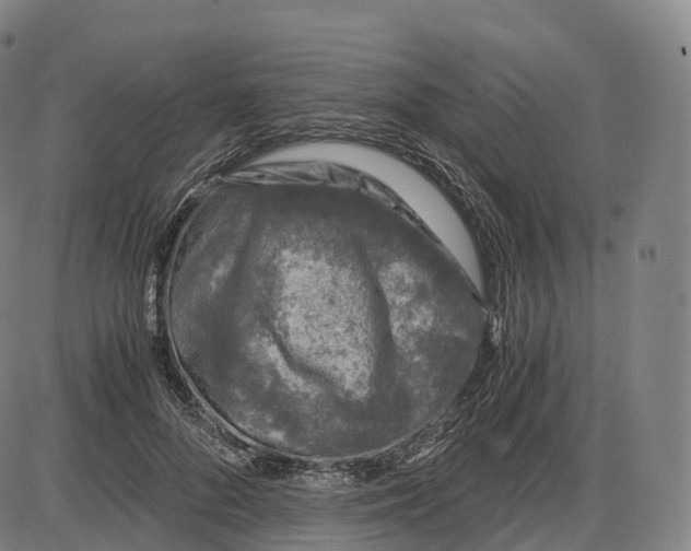 X0000083980696200703161557