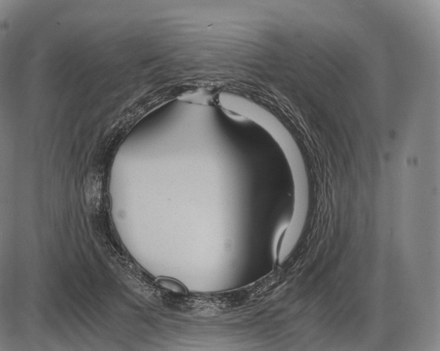 X0000083980697200703161557