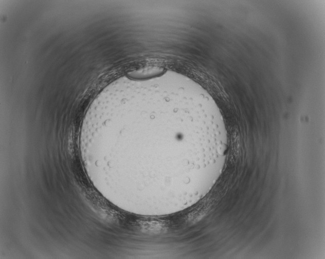 X0000083980698200703161557