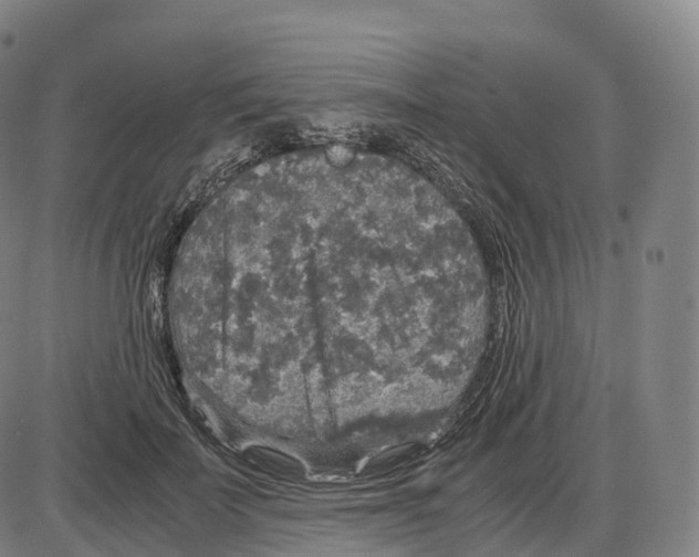 X0000083980699200703161557