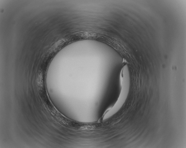 X0000083980700200703161557