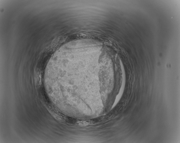 X0000083980703200703161557