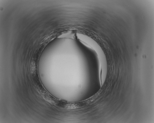 X0000083980704200703161557