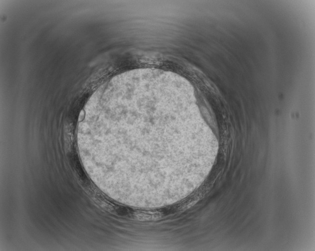 X0000083980707200703161557