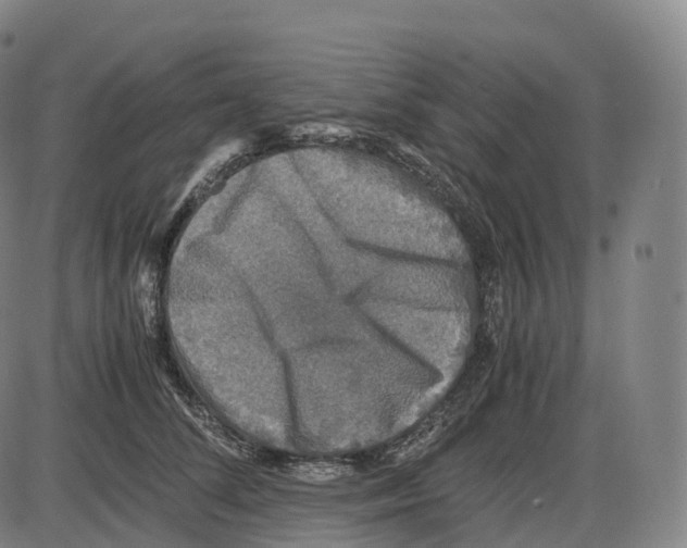 X0000083980708200703161557