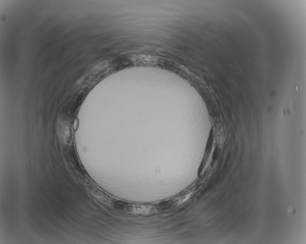 X0000083980709200703161557