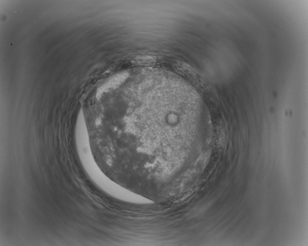 X0000083980711200703161557