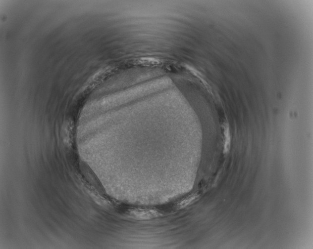 X0000083980712200703161557