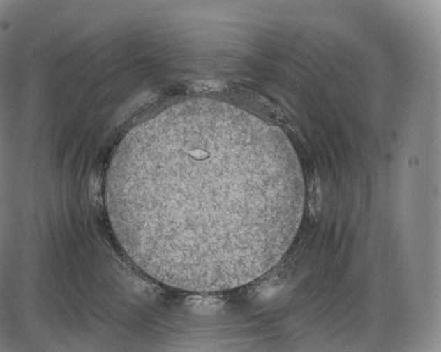 X0000083980714200703161557