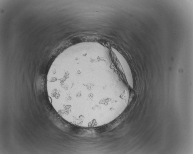 X0000083980715200703161557