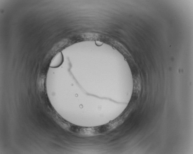 X0000083980717200703161557