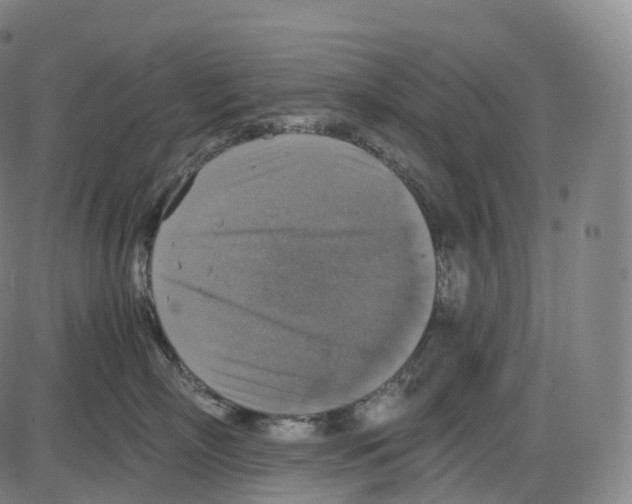 X0000083980718200703161557