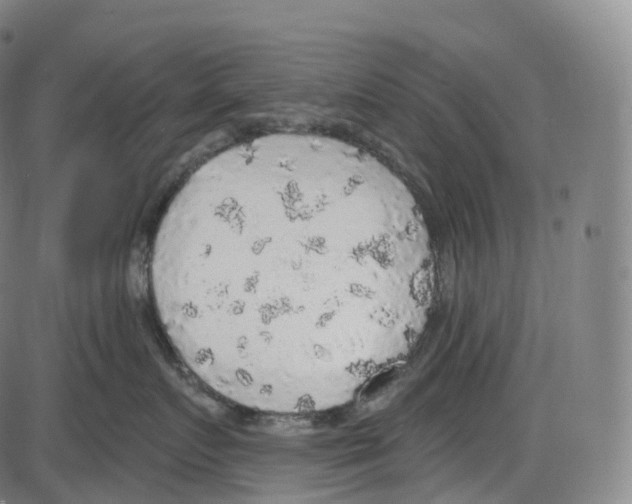 X0000083980719200703161557