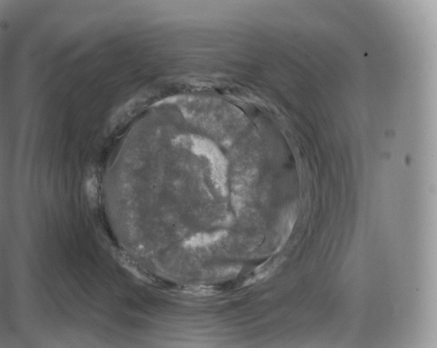 X0000083980720200703161557