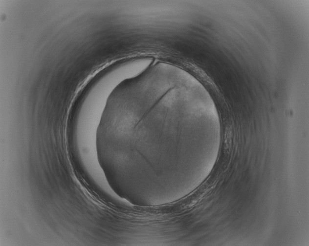 X0000083980722200703161556