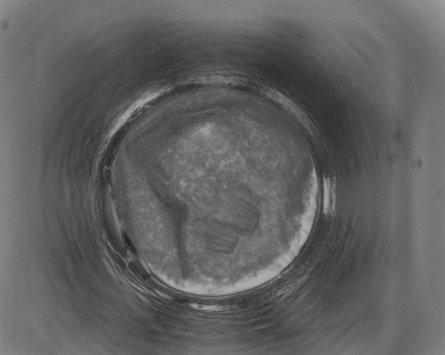 X0000083980723200703161556