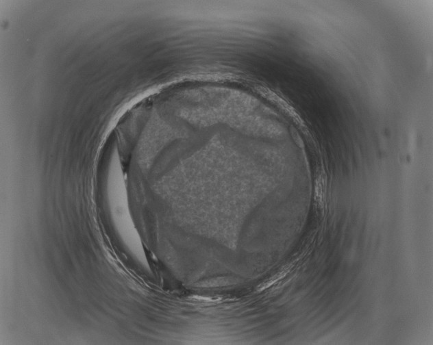 X0000083980724200703161556