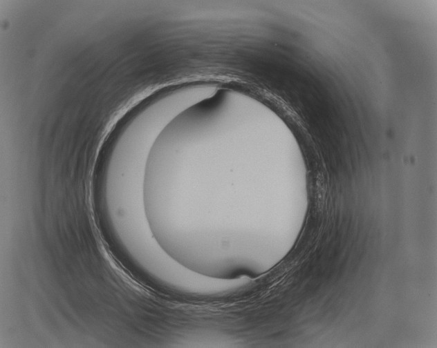 X0000083980726200703161556