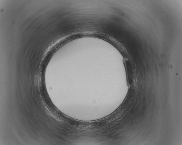 X0000083980728200703161556