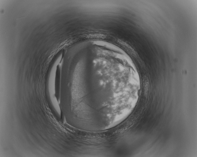 X0000083980729200703161556