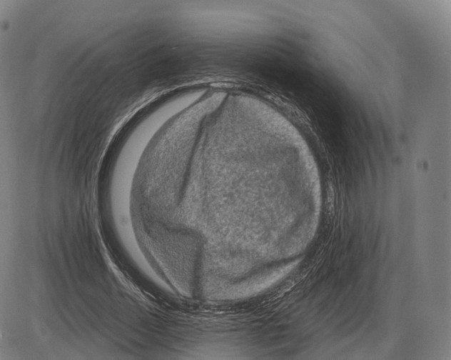 X0000083980730200703161556