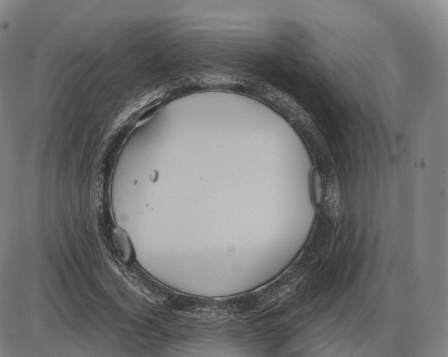 X0000083980732200703161556