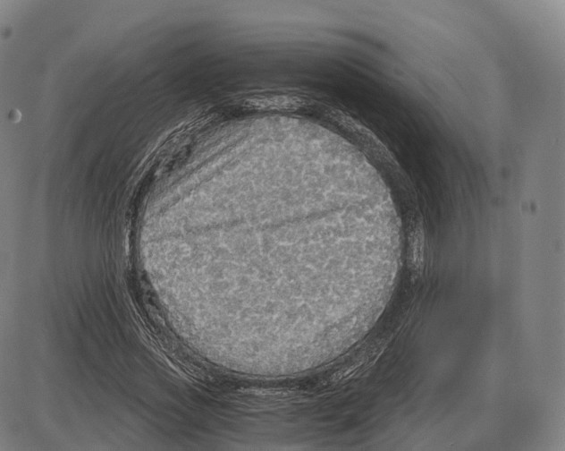 X0000083980733200703161556