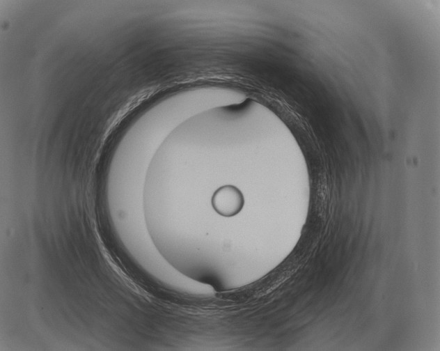 X0000083980734200703161556