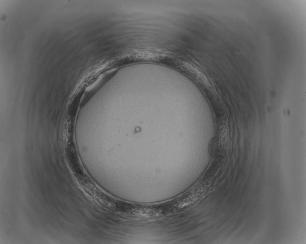 X0000083980736200703161556