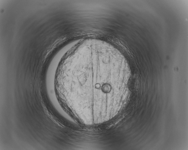 X0000083980738200703161556