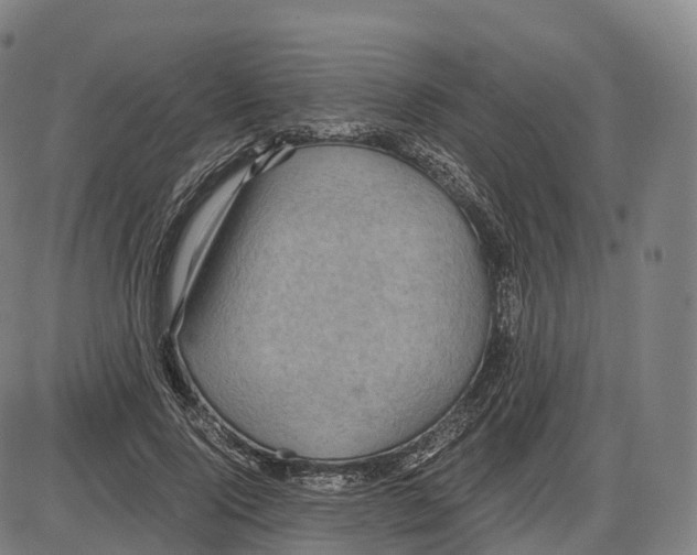 X0000083980740200703161556