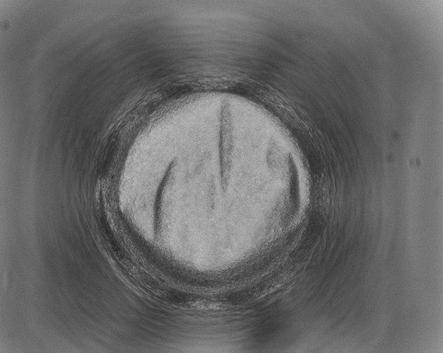 X0000083980742200703161556