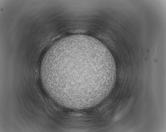 X0000083980743200703161556