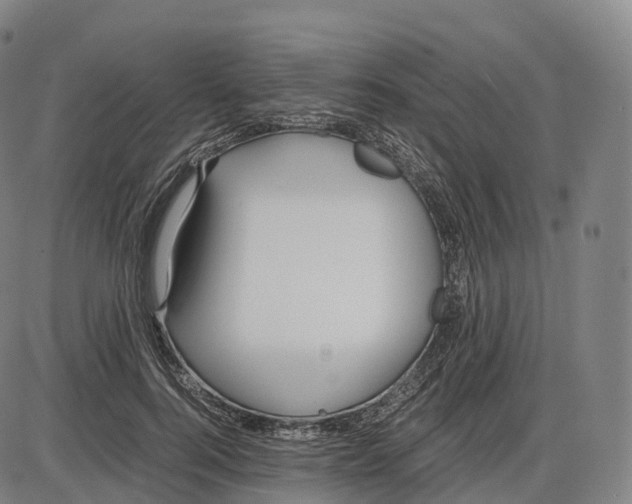 X0000083980744200703161556